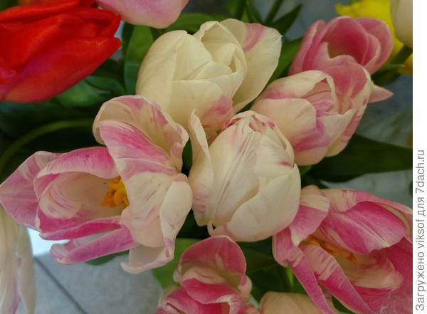 А хочется весны!