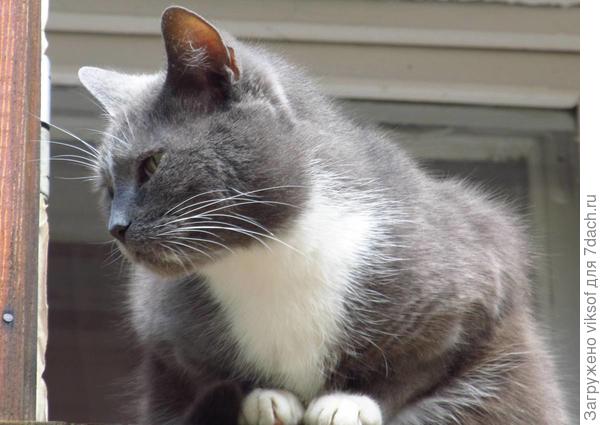 любуется своими воспитанниками.