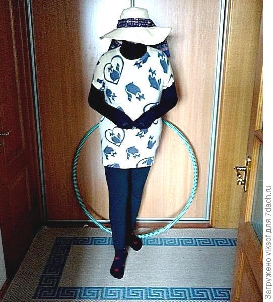 исключительно для кошачьих дискотек