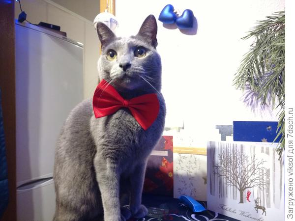 Витас ждёт тебя...