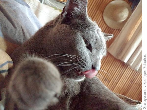 и Витас что-то затеял переделать