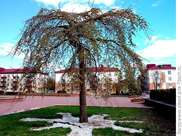 начало прошлогодней весны