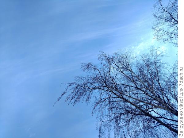 День прекрасный!