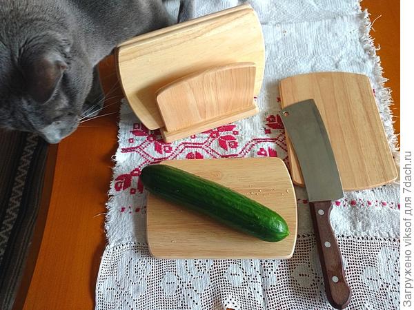 Витас рядышком, он помощник мой...