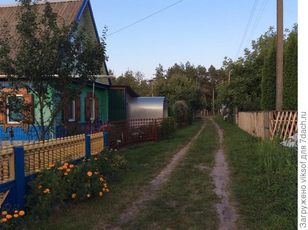 Как жить в лесу и не ходить туда...