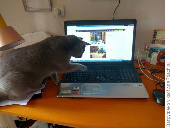 Щасс, допечатает...