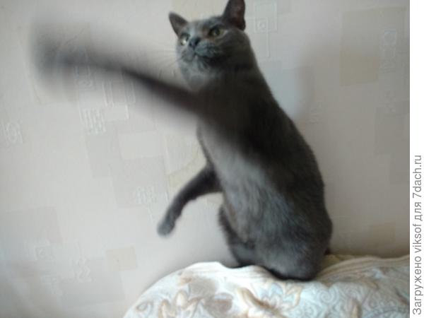 Воздушный поцелуй, если кто не понял, Витас обожает Семидачников!