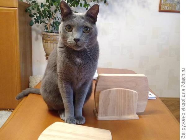 Расти здоровеньким и слушайся своих хозяев, но я тебе по секрету скажу - это МЫ Коты их хозяева, так что держи их в тонусе ...