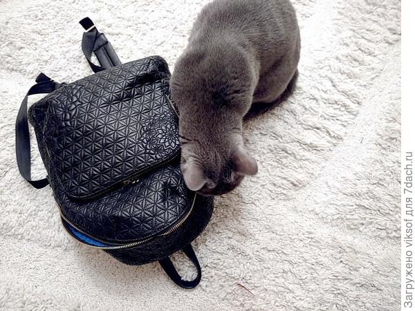 Ты же для меня что-то да купила, помоги проверить твой рюкзак