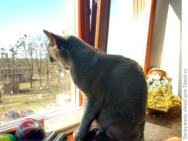 Йохан! Дружище! Где ты?