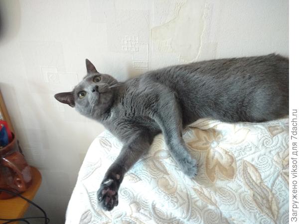 На дачу скоро!?