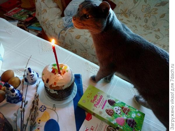 Свеча горячая, надо усы поберечь...