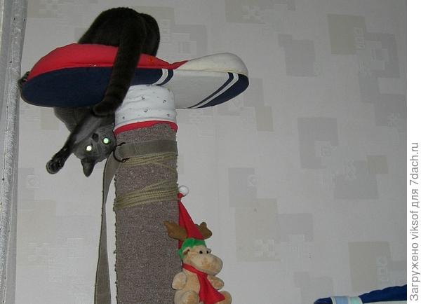 Зарядка нам полезна очень...