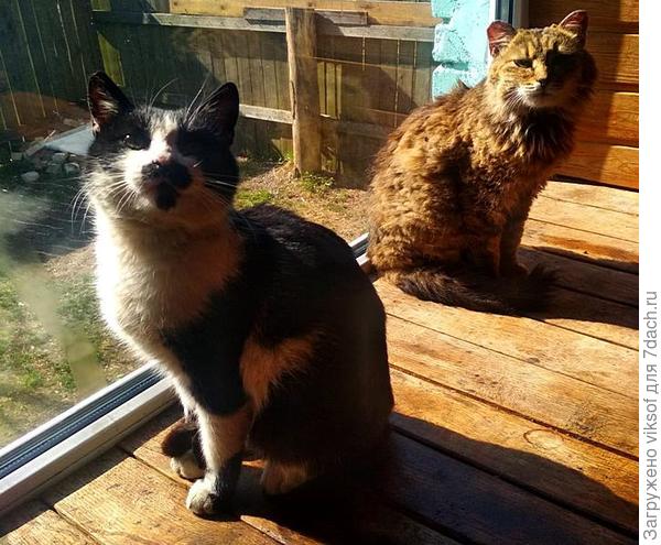 Уже совсем выздоровела!