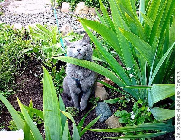 Какая птичка, я вообще-то просто любуюсь ими...