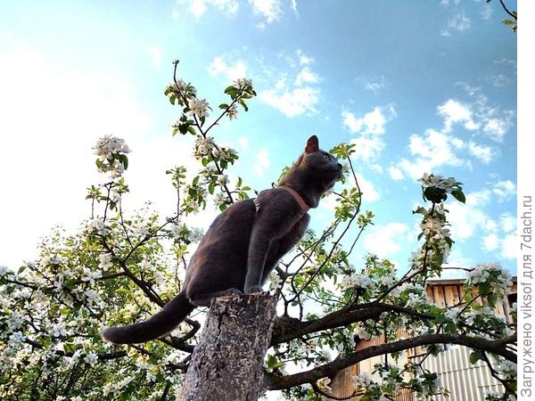 Но приходит Весна и всё начинается с начала!