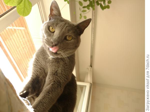 Хм, и что они там едят, а мне? Дайте попробовать что ли!