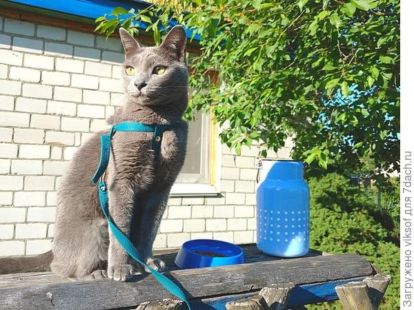 Ну, вот Юрочка фермер едет, молочко, сыр, сметанку, яйца...