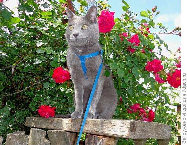 Узнали!? Да это я Витас! Служу уже 10 лет на таможне...