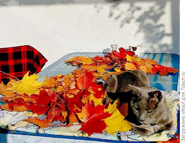 И вот так каждый день до поздней осени...