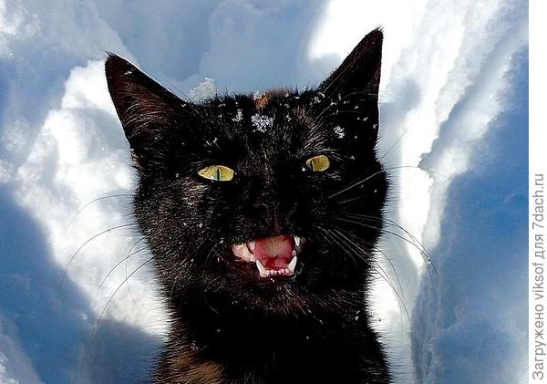 Спасибо! Ждём вас завтра!