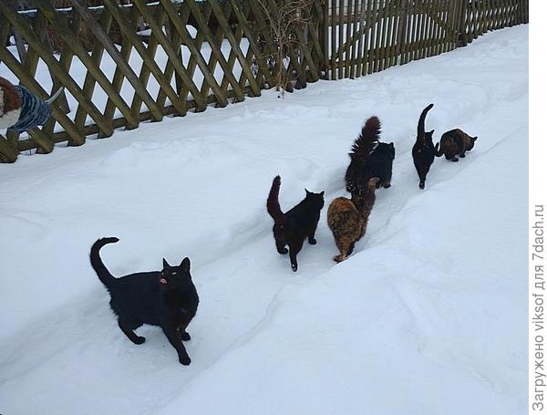 А вы завтра супчика тёпленького принесите, а то холодно