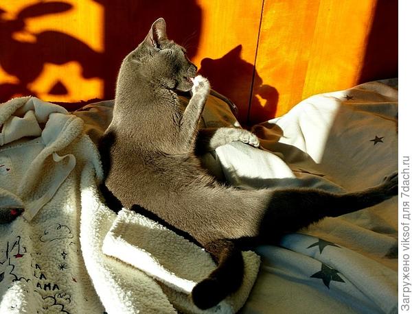 А мне - умывайся своим языком и ... ничего больше!