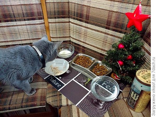 И своя ёлка, и праздничное угощение!