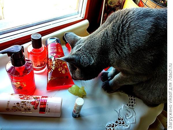 А здесь - и для лица, и для лапок их рук...