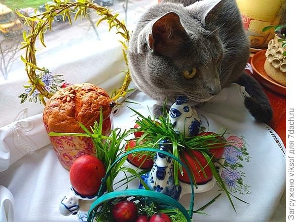 Я только травку попробовал - понравилась!