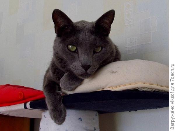 Смотрю и вспоминаю себя, когда я был таким же как ты... молодец, только будь осторожен, зубы береги, там иногда попадаются металлические скобки...