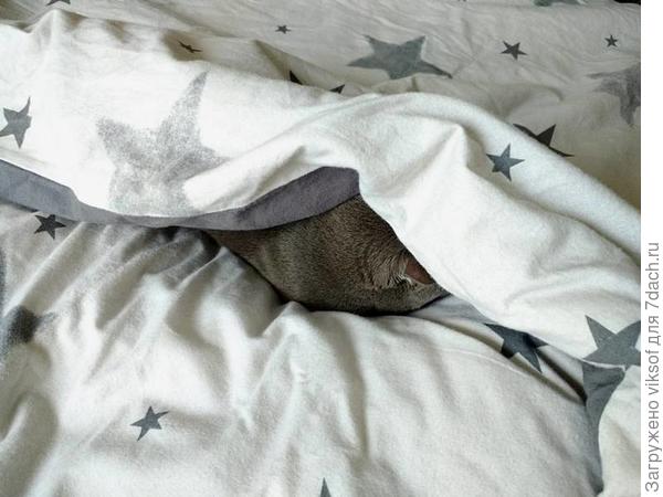 И мы умеем прятаться!