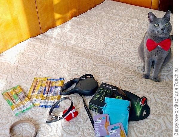 Спасибо, двуногие! Люблю я подарочки!