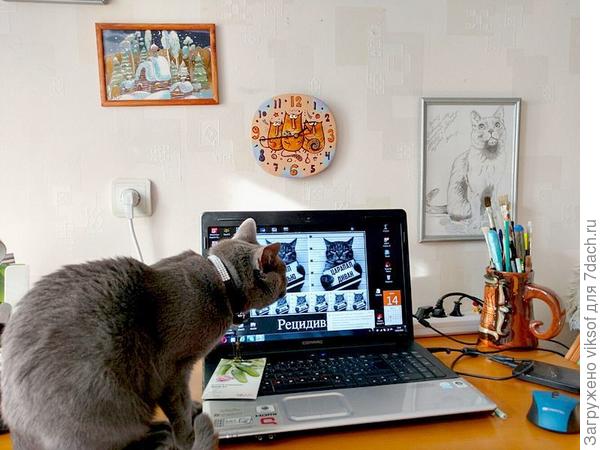 Подожди-ка - кто же это? Неужто из кого-то из наших поймали?