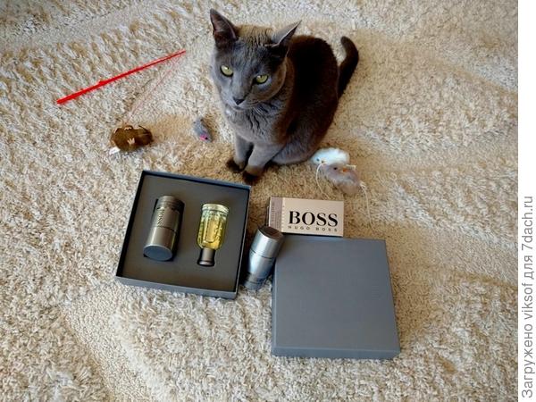 Люди добрые, гляньте. что им, а мне какие-то непонятные мыши,