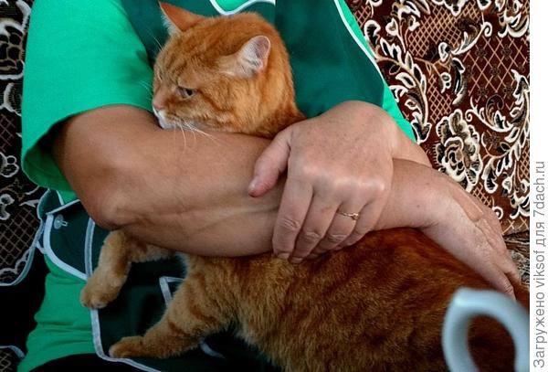 они понимали друг друга...