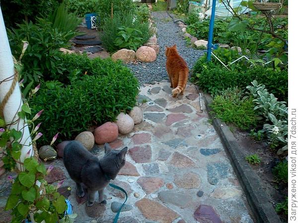 Рыжий! Не уходи...