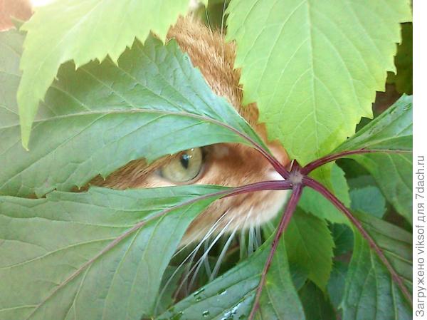 Лёнька был настоящим охотником,