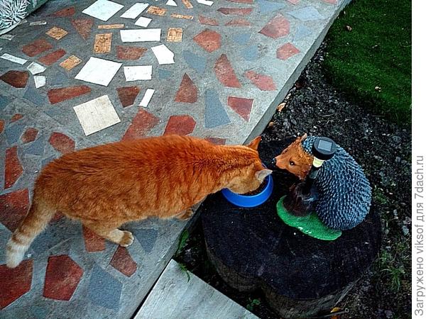 а вот и обед подоспел,