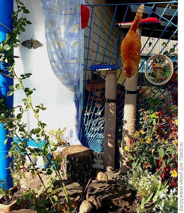 Рыжий самолично проверил новую лежанку Витаса,