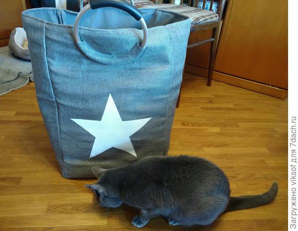Пару раз запрыгивал в сумку,