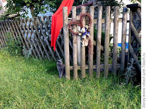 Заходите к нам - мы гостям рады!