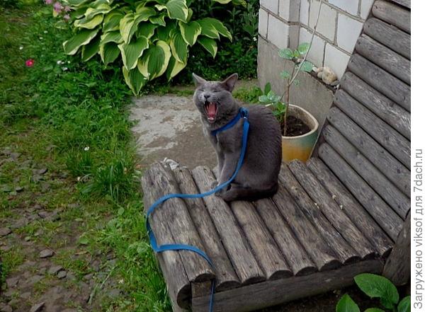 Здесь можно брать самые высокие ноты!