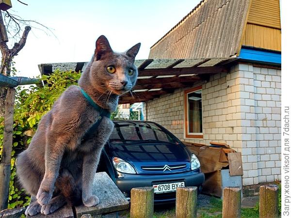 А это кто ещё тут расхаживает!?