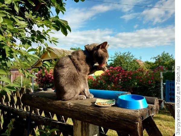 Я же ж таможенник и у меня обеденный перерыв!