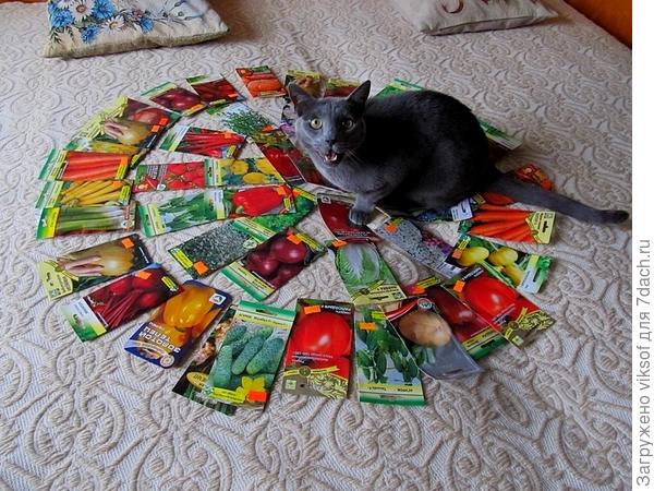 Семидачники! А Вы всё посеяли? Валерьяночку не забыли?