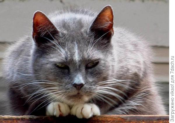 Я 12 лет тому назад и не в такие забиралась!