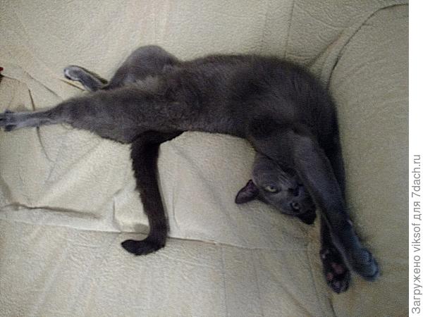 А так хочется порой уйти от суеты и просто поваляться,