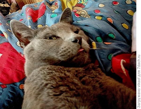 Не поверите, а мне даже отдохнуть некогда на даче,