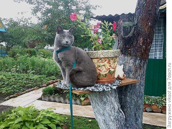Так ещё по совместительству отдежурить на таможне у хозяйкиной подружки, пока они шашлыки готовят,